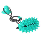 Single Suction Cup Cactus Chew Ball for Dogs