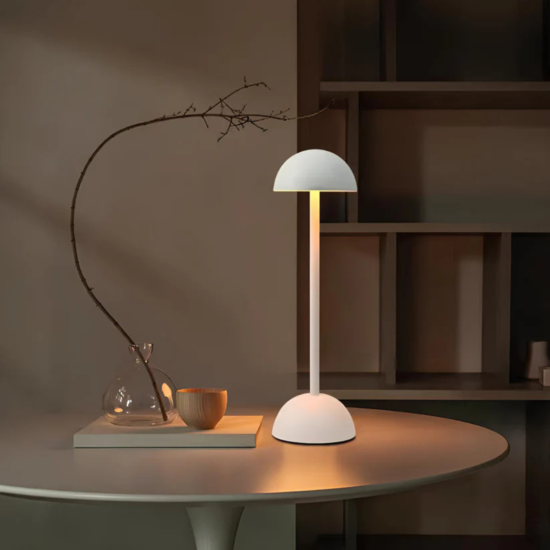 Rechargeable LED Table Lamp with Touch Control