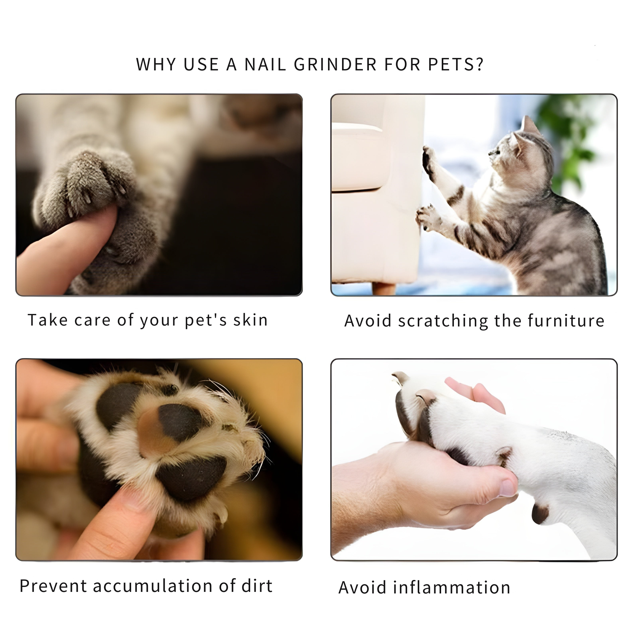 Pet Nail Grinder | Quiet & Safe Claw Trimmer | Rechargeable USB Grooming Tool