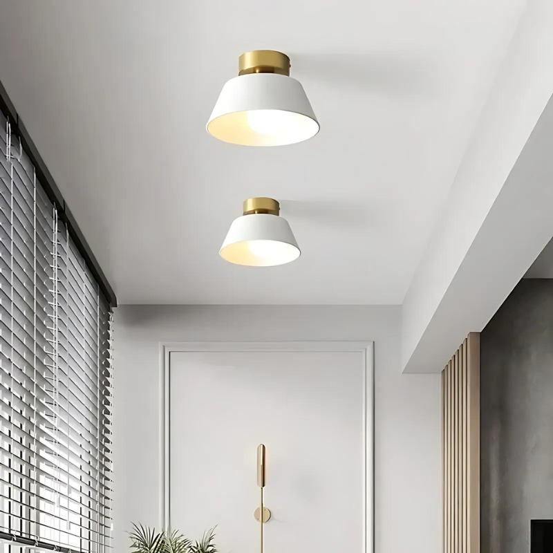 Stylish LED ceiling lamp for your home