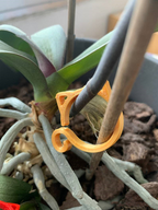 Cat-shaped Plant Clip – Cute Plant Support for Garden and House Plants