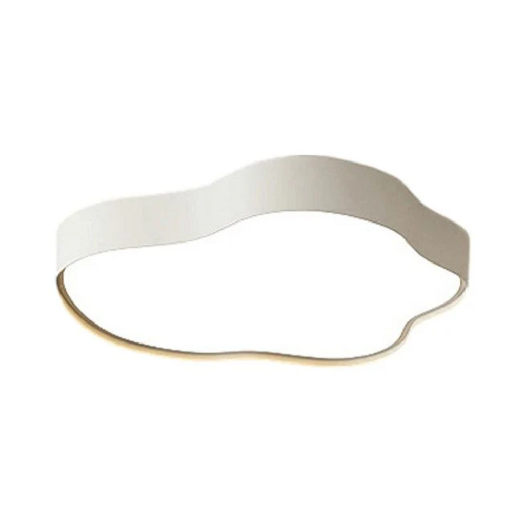 Stylish LED Ceiling Lamp