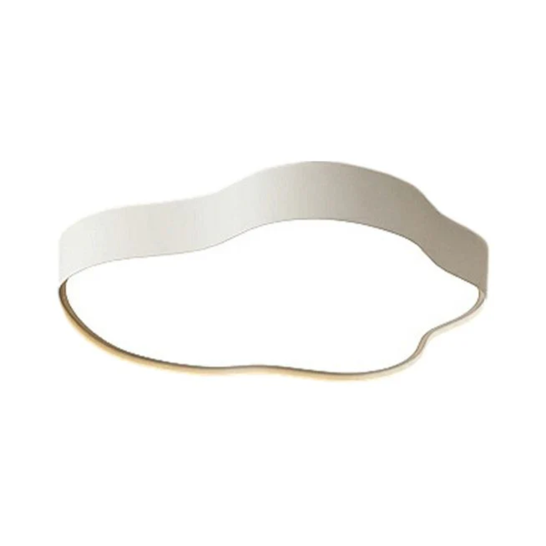 Stylish LED Ceiling Lamp