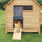 Poultry Farm Automatic Chicken Coop Door