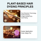 Plant extract hair tint essence