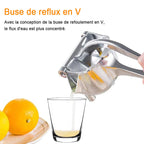 Manual Citrus Press