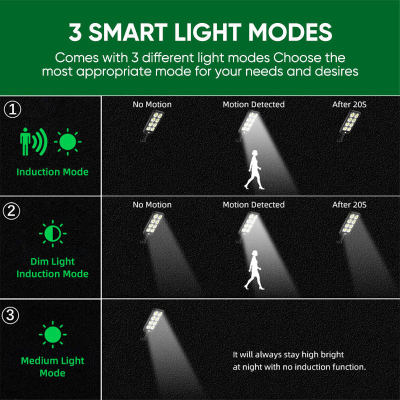 Solar-Powered Garden Light with Dual Motion and Light Sensors