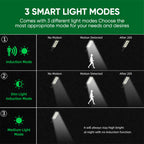 Solar-Powered Garden Light with Dual Motion and Light Sensors