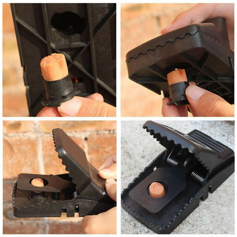 Reusable Traps for Rat Control