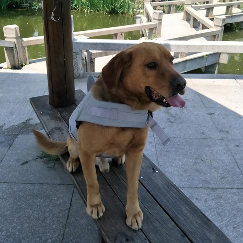 Dog Swim Safety Jacket