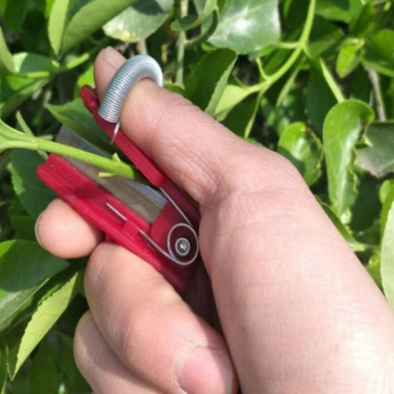 GardenGrip | Easily harvest your own vegetables and fruit with this handy tool!