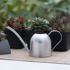 AquaGrace Stainless Steel Watering Can with Flexible Neck | Modern Design | Perfect Watering | Rustproof