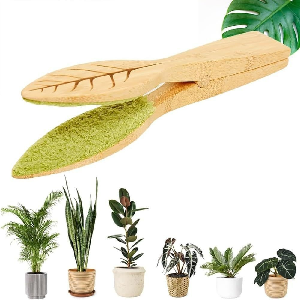 Plant leaf cleaning tongs made of wood for gentle leaf care