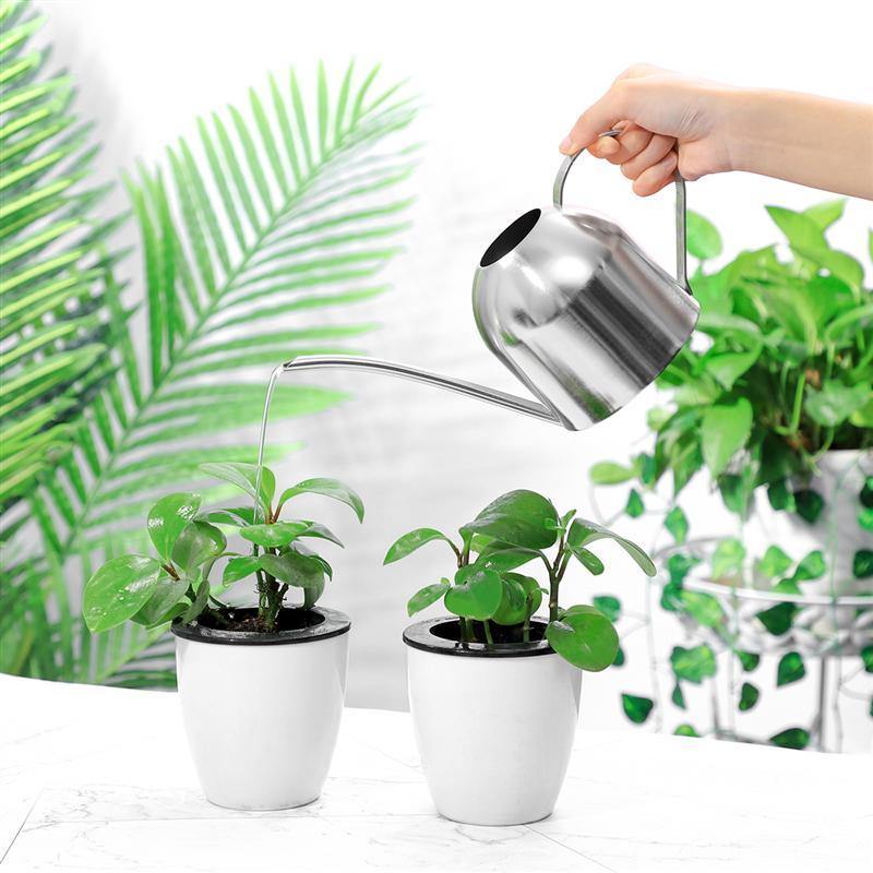 Stainless Steel Watering Can with Flexible Neck | Modern Design | Perfect Watering | Rustproof