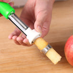 Stainless Steel Fruit Pits