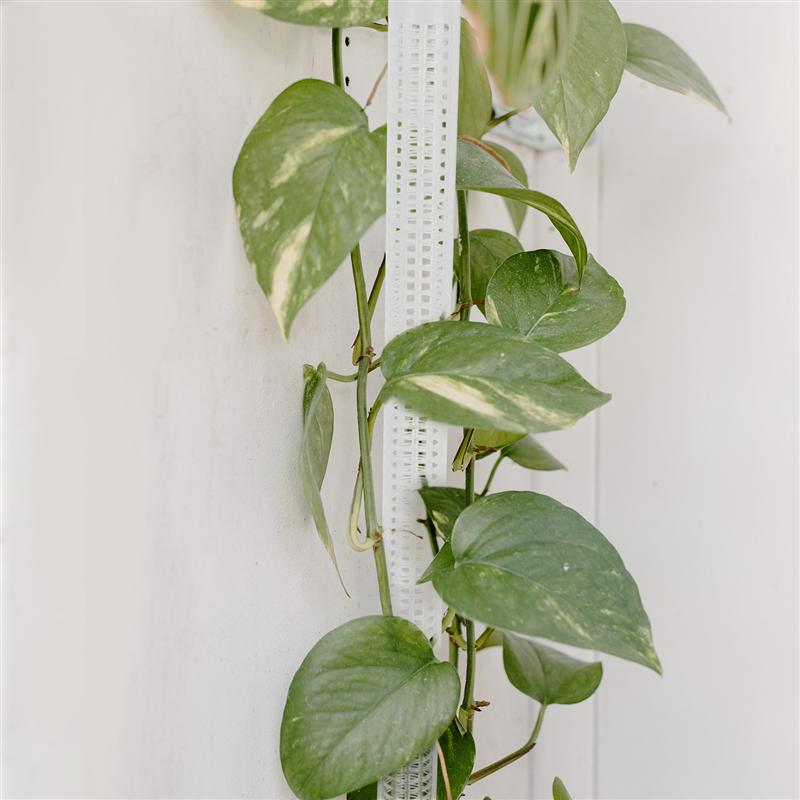 Pillar for climbing plants and green plants – Support columns for vertical plant cultivation