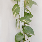 Pillar for climbing plants and green plants – Support columns for vertical plant cultivation