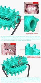 Single Suction Cup Cactus Chew Ball for Dogs