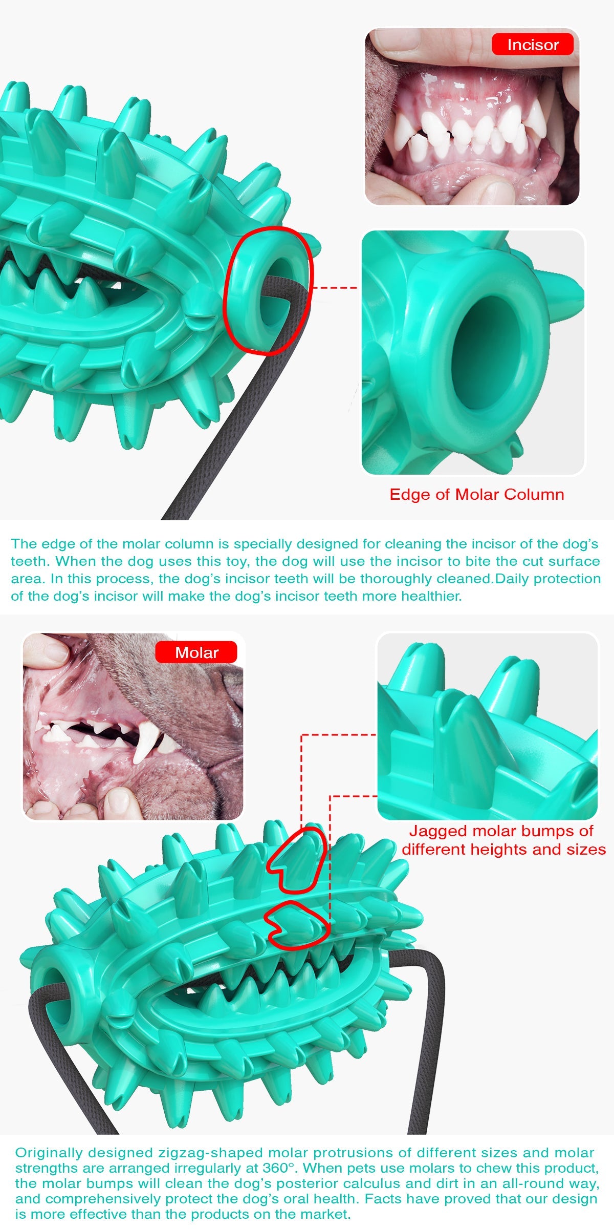 Single Suction Cup Cactus Chew Ball for Dogs
