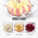 Fruit sorting machines