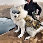 Outdoor Protection Glasses for Dogs
