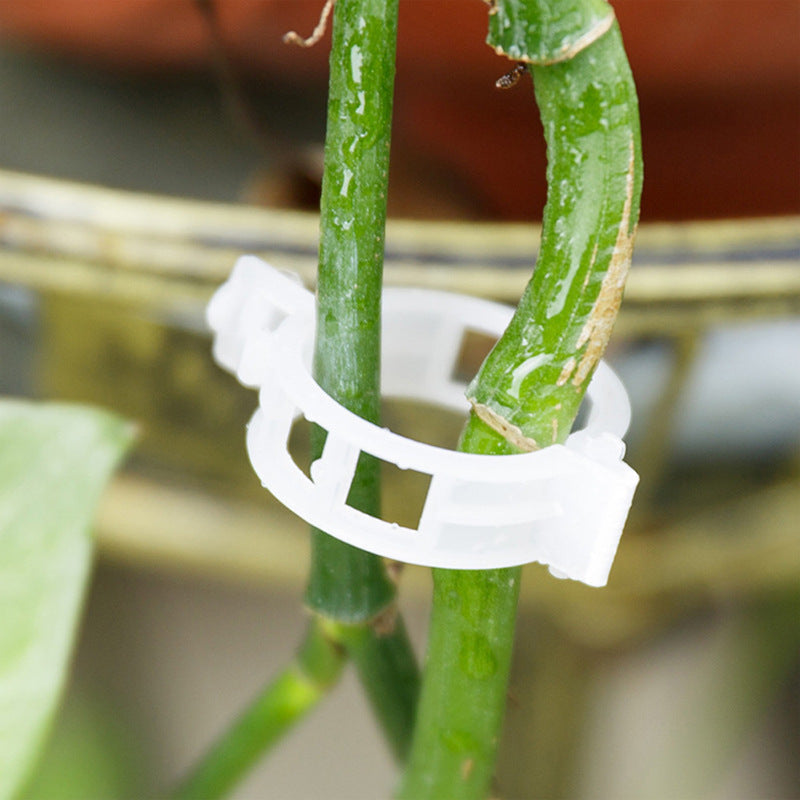 Plant support clips