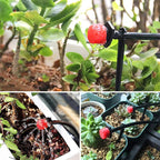 AquaFlow Sprinkler-Dripper | Precise Plant Irrigation