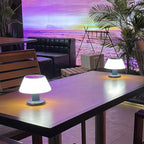 Wireless LED Table Lamp with Battery