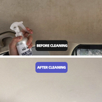 Auto Interior Fabric Cleaner