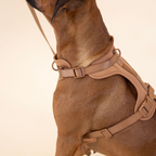 ComfyPaws Dog Harness Walking Set with Leash and Poop Bag Holder