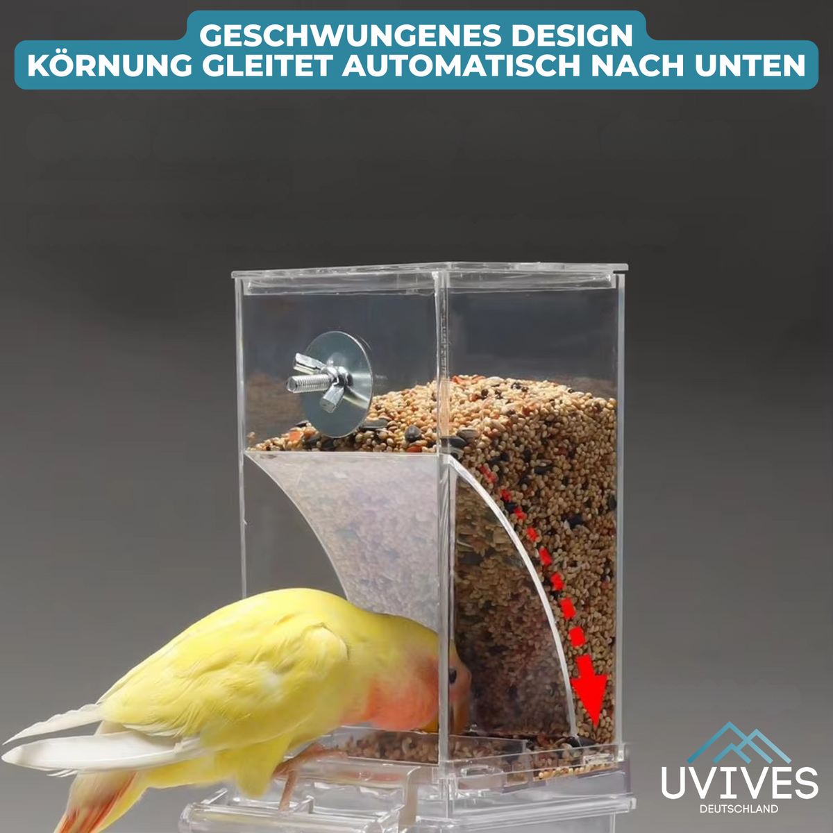 BirdFeed – Clean feeding, satisfied birds, less effort
