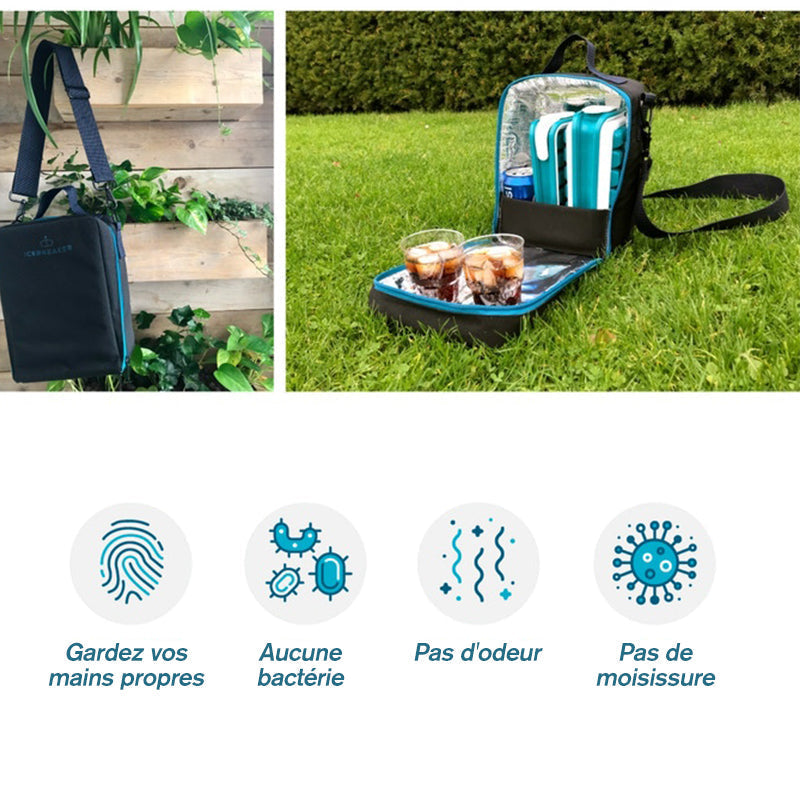 Portable Ice Mold