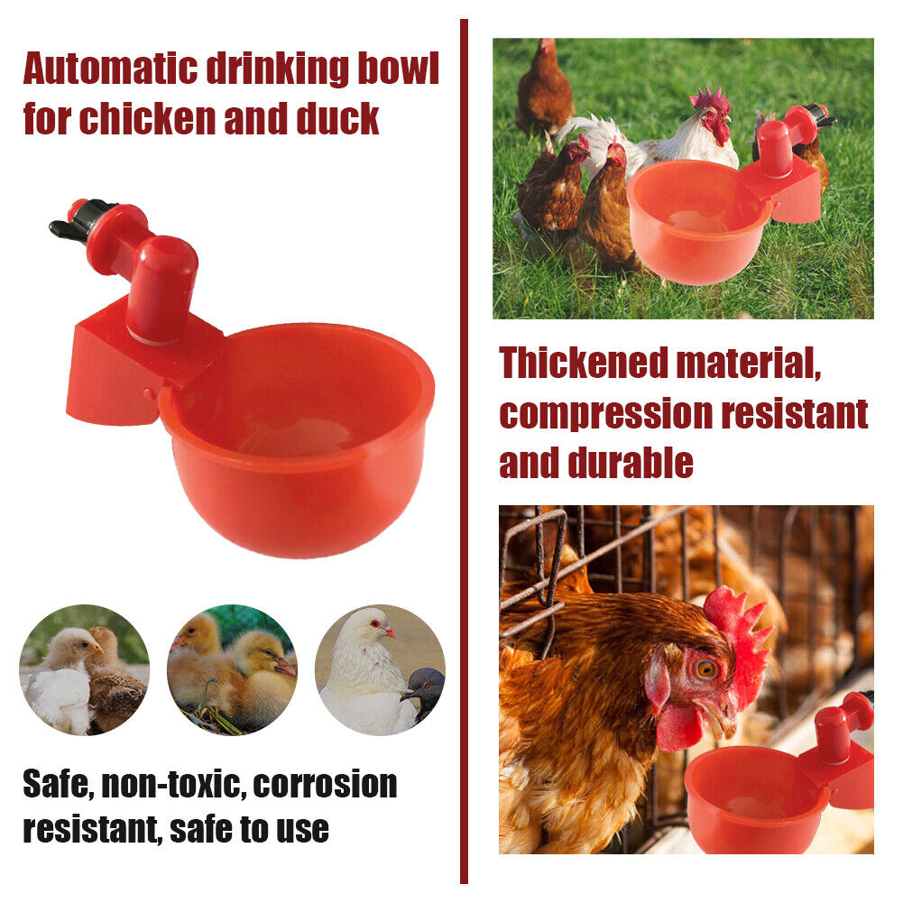 Automatic Poultry Drinker