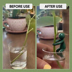 Plant Propagation Friend
