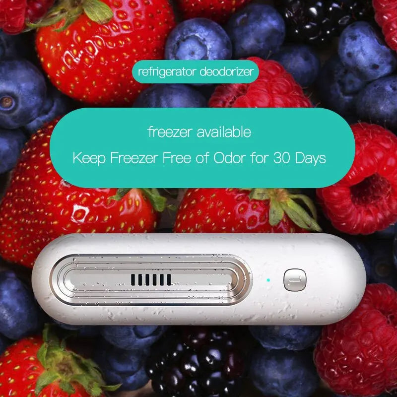Compact Air Purifier and Refrigerator Deodorizer