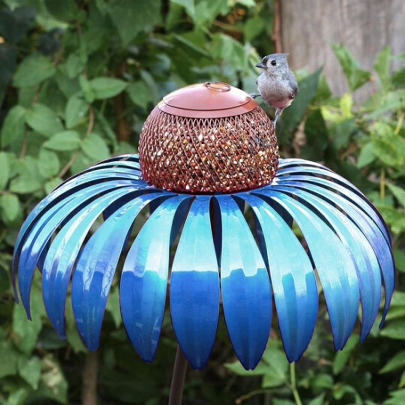 Bird Feeding Station D'éChinacéE