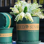 Robust Plant Pot Made of Plastic – Weatherproof Flower Pot for Garden and Balcony