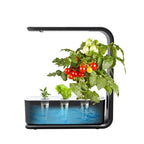 Slim Hydroponic Plant System for Indoor - GreenBloom Hydro