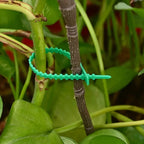Plant fastening cable tie set for stable securing of plants