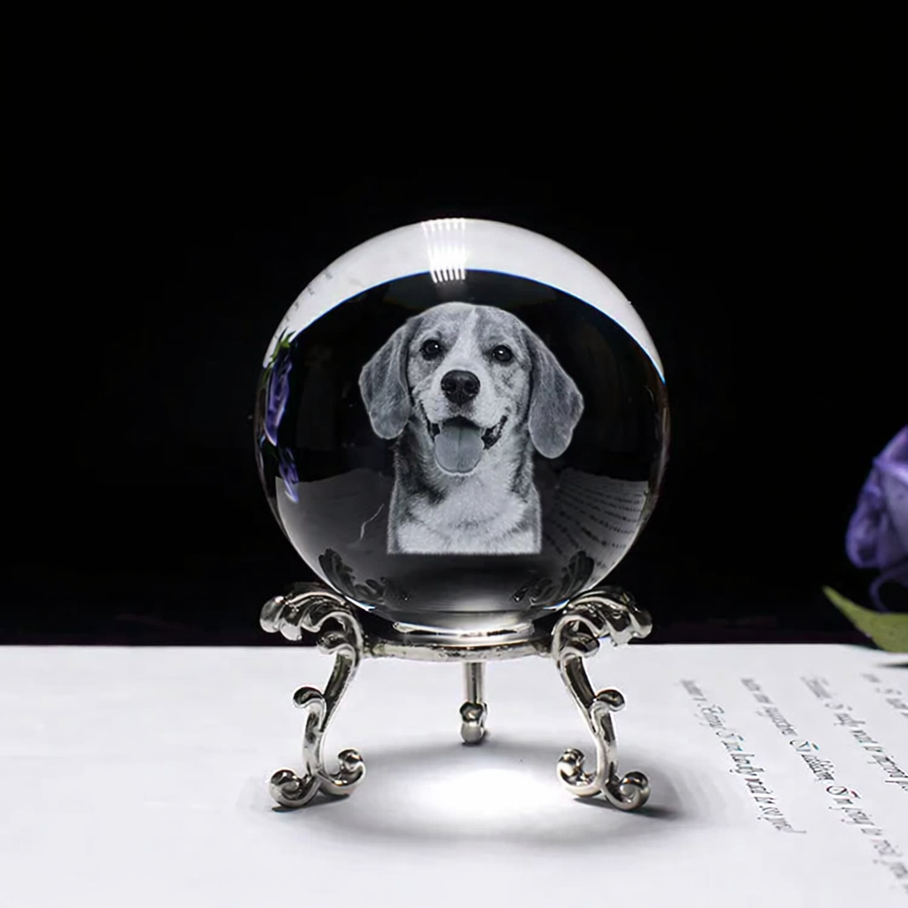 Personalized crystal ball with pet photo & LED base