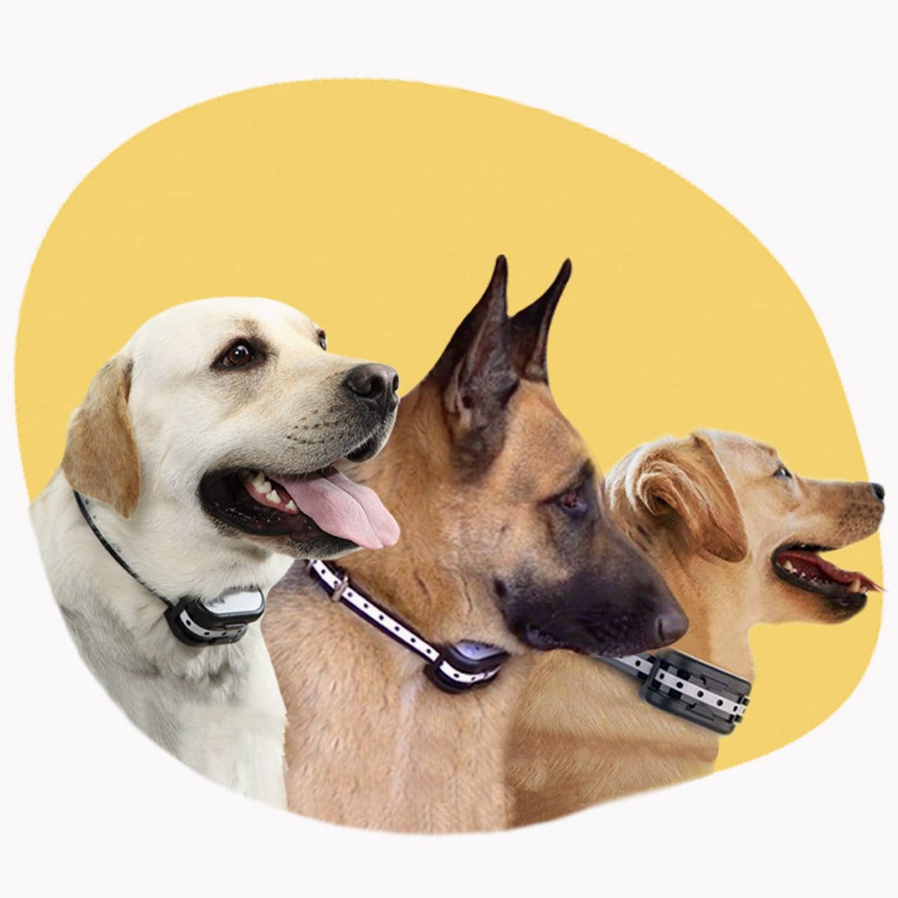 SafeZone - Wireless Dog Fence & Training Collar | Animal-Friendly Correction Methods | Rechargeable & Waterproof