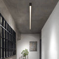 Black Metal Ceiling Lamp LED Linear Minimalistic Modern Design