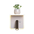 White LED wall light Minimalism Acrylic Round/Rectangle Wall Outdoor Light with Plant Decoration in Warm/White Light