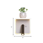 White LED wall light Minimalism Acrylic Round/Rectangle Wall Outdoor Light with Plant Decoration in Warm/White Light
