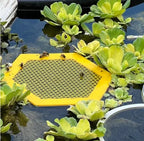 Floating Bee Island - Bee Waterer