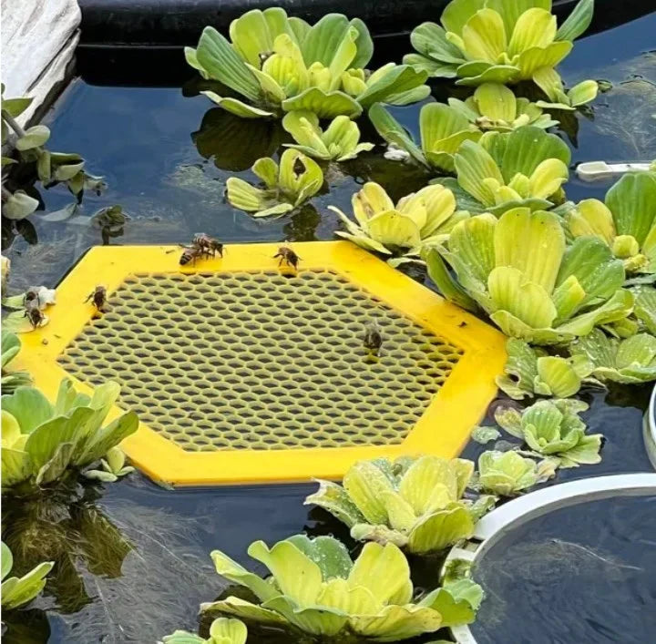 Floating Bee Island - Bee Waterer