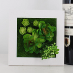 GreenFrame Wall Decoration – 3D Art Plant in Modern Hanging Frame