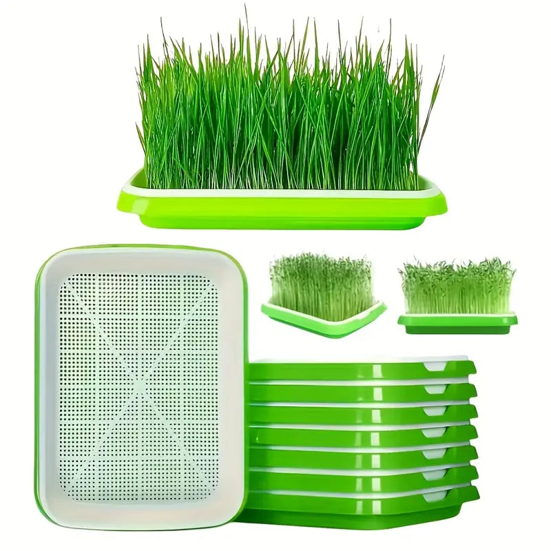 Germination trays with lid – Double-layer seed sowing tray for effective seed germination