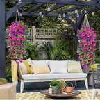 UV Resistant Hanging Morning Glory