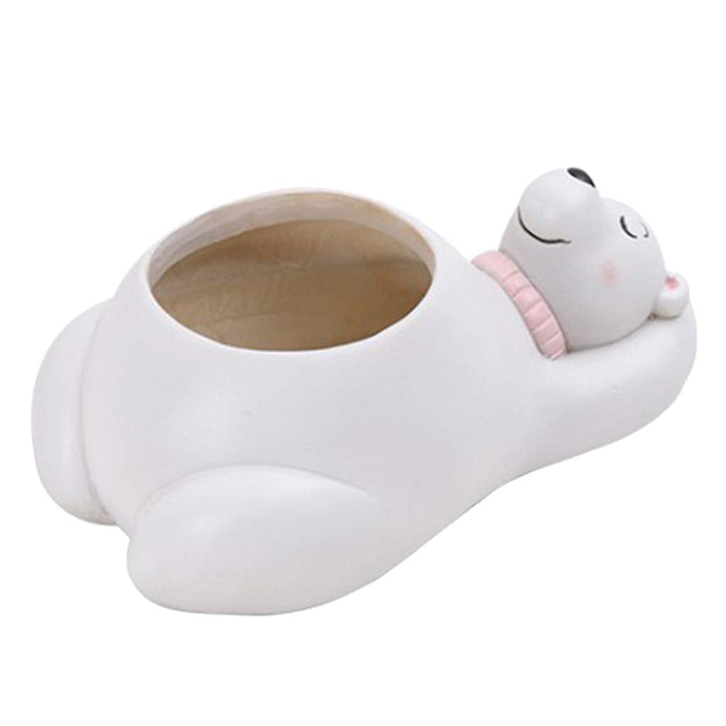 Animal Plant Pots – Funny Animal Designs for Succulents and Cacti